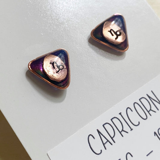 Zodiac Star Sign Earrings | Capricorn