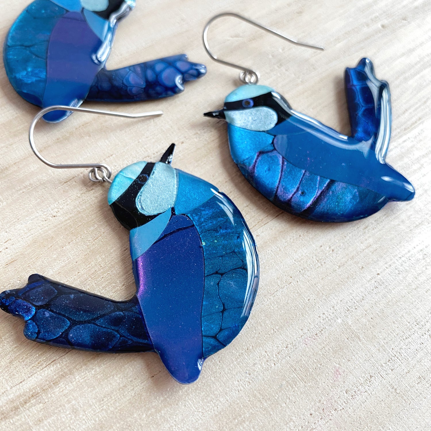 Splendid Fairy-Wren