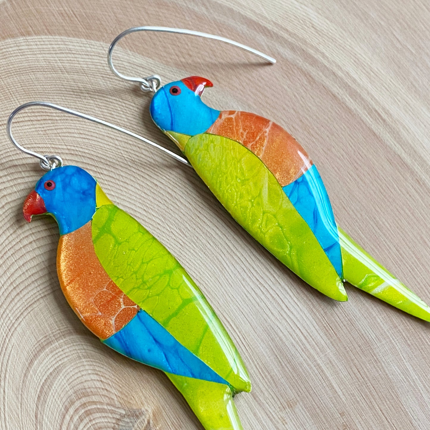 Rainbow Lorikeet Earrings | grand size