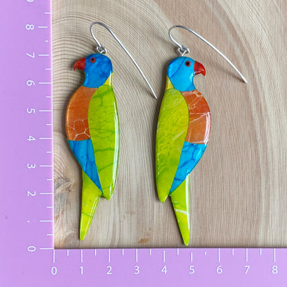 Rainbow Lorikeet Earrings | grand size