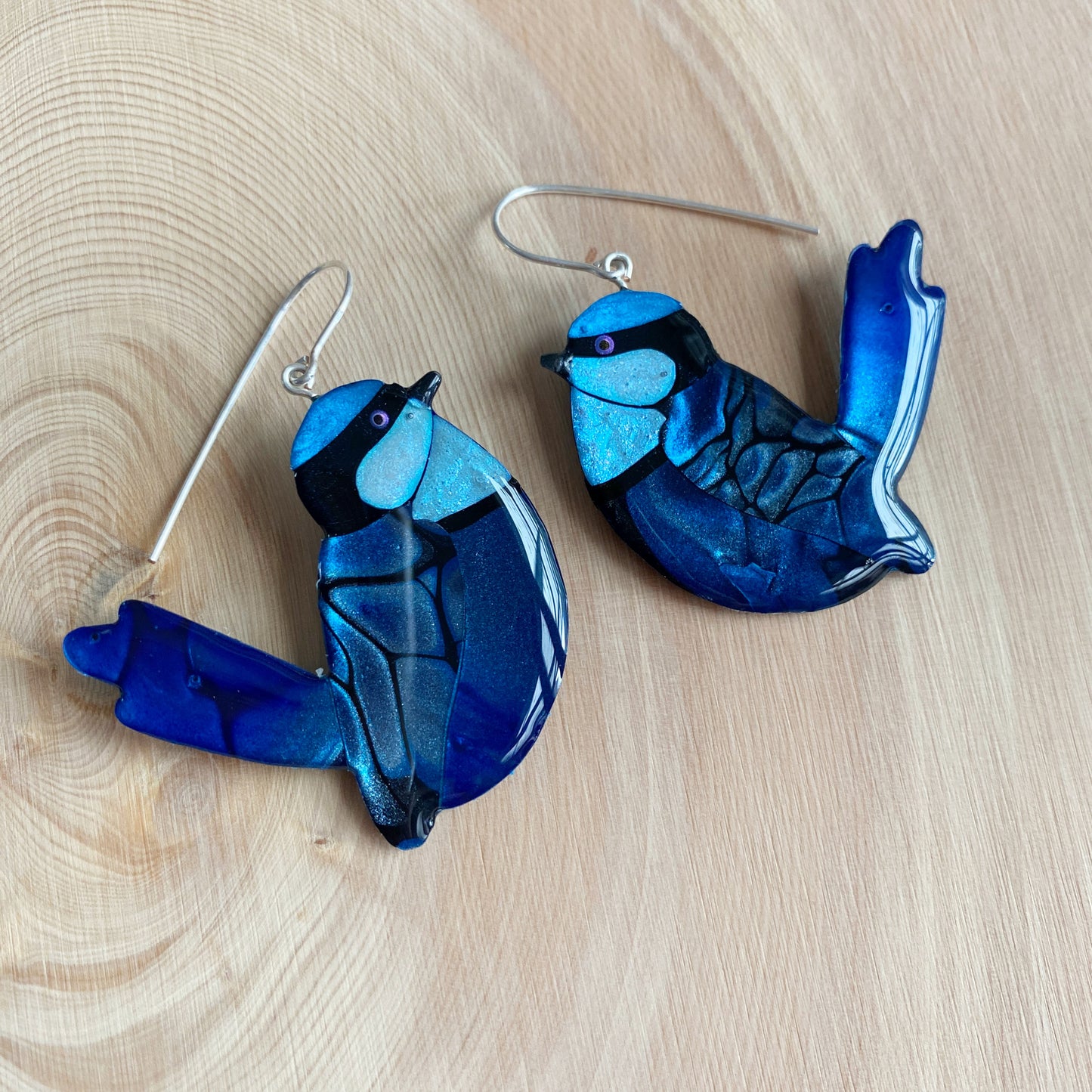 Splendid Fairy-Wren | grand size