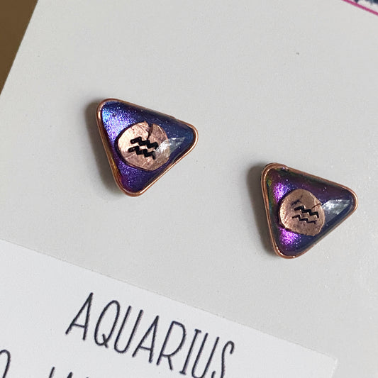Zodiac Star Sign Earrings | Aquarius