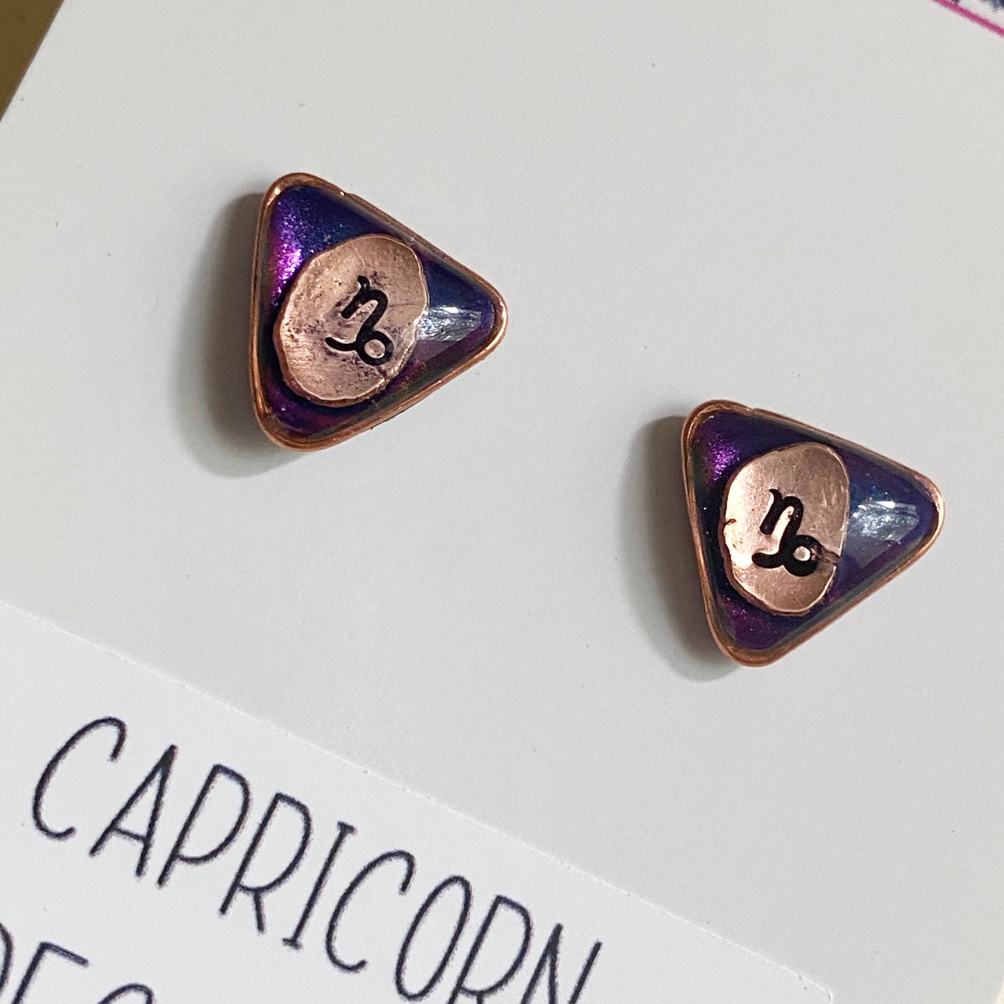 Zodiac Star Sign Earrings | Capricorn