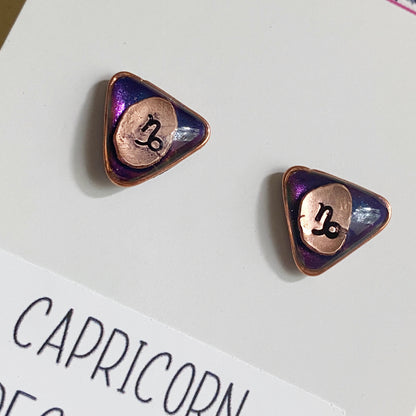 Zodiac Star Sign Earrings | Capricorn