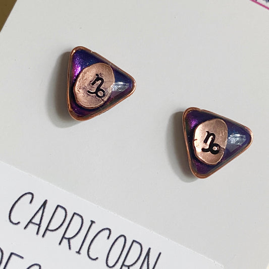 Zodiac Star Sign Earrings | Capricorn